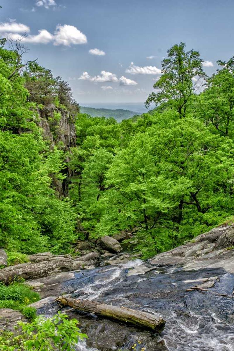 乐可官方版下载-乐可正版v1.3.5-视频动漫网站入口大全在线免费页面3