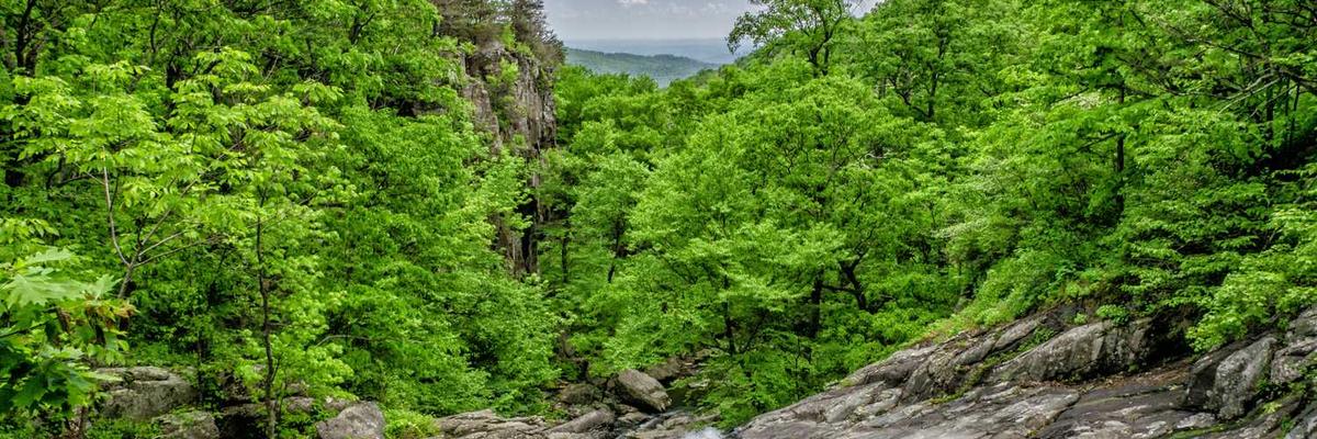 热门乐可官方版下载-乐可正版v1.3.5-视频动漫网站入口大全在线免费推荐